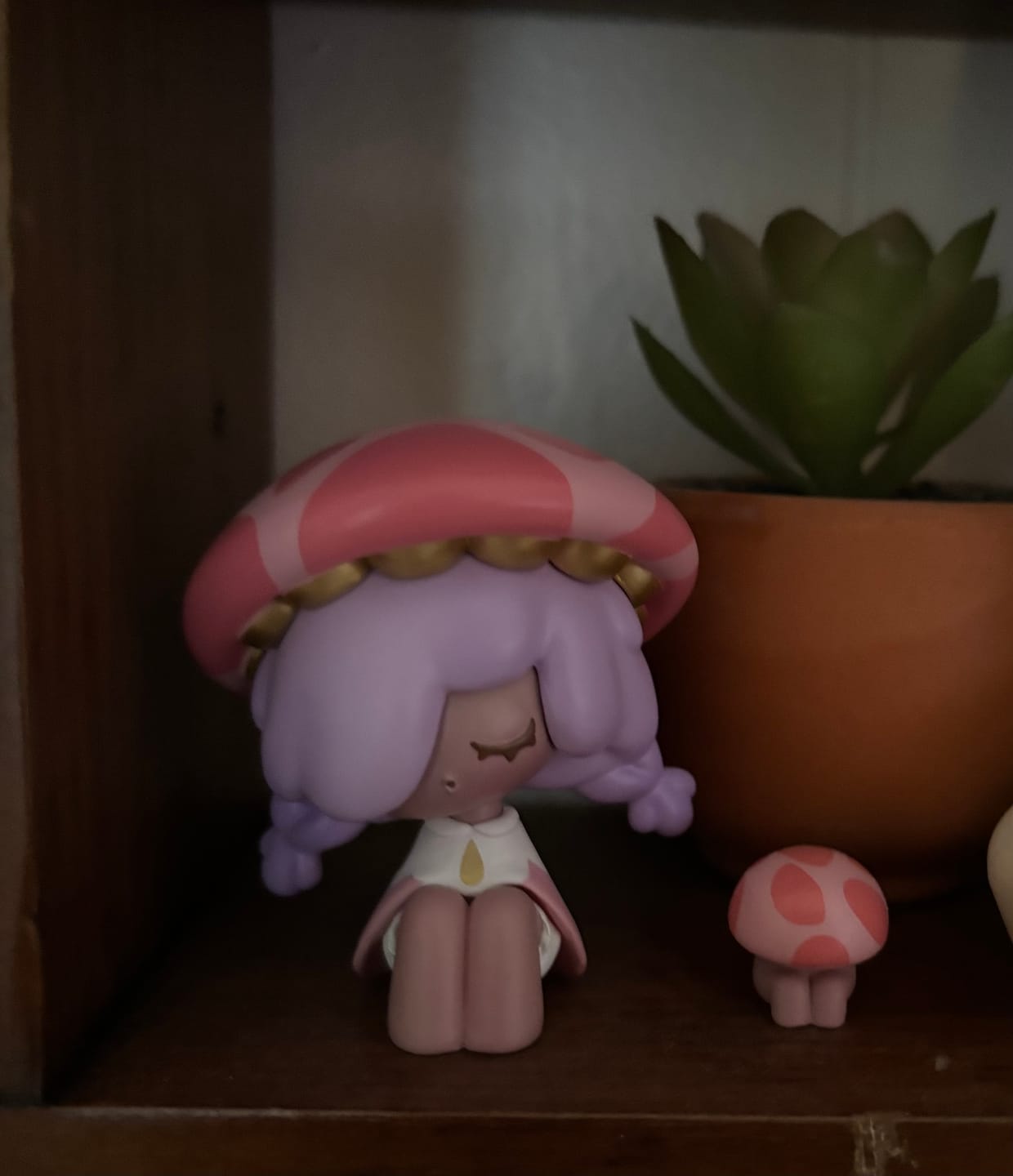 Customer photo review of Moogutong Little Mushroom Girl Series Blind Box