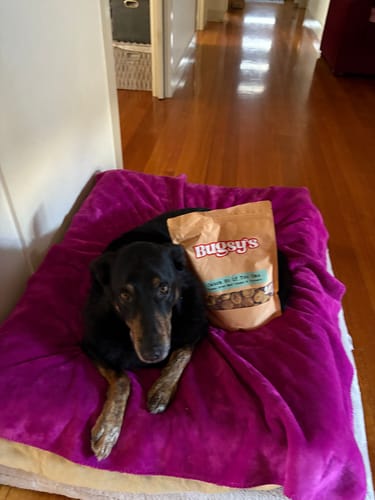 Customer photo review of Catch Me If You Can | Beef & Turmeric