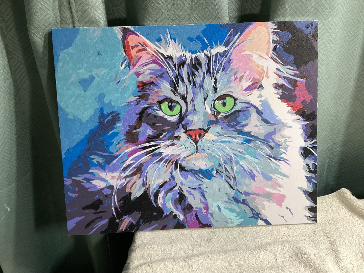 Customer photo review of Birman Cat No 2