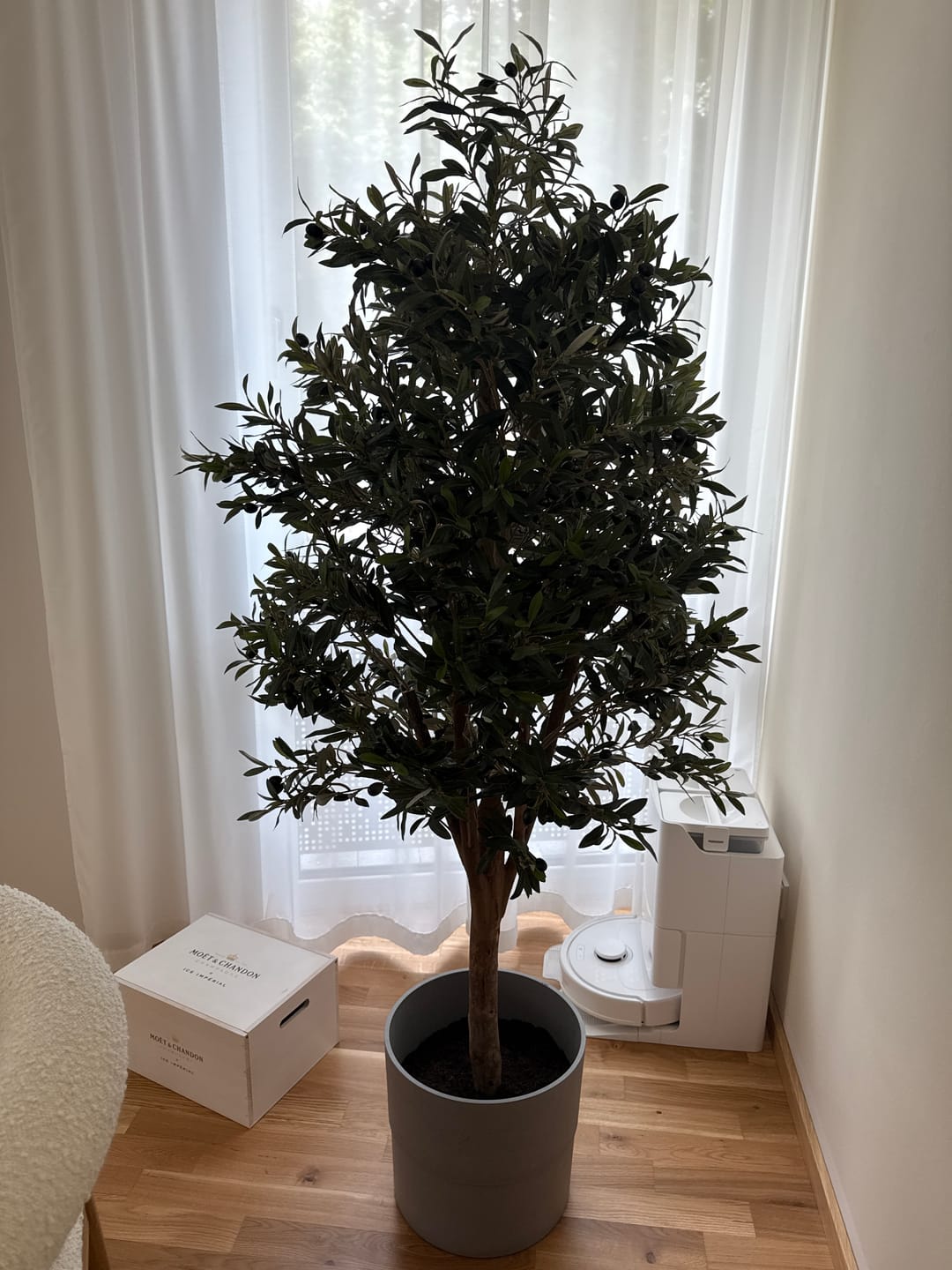 Customer photo review of Vorbestellung Künstlicher Olivenbaum 170cm Deluxe (Ende April)