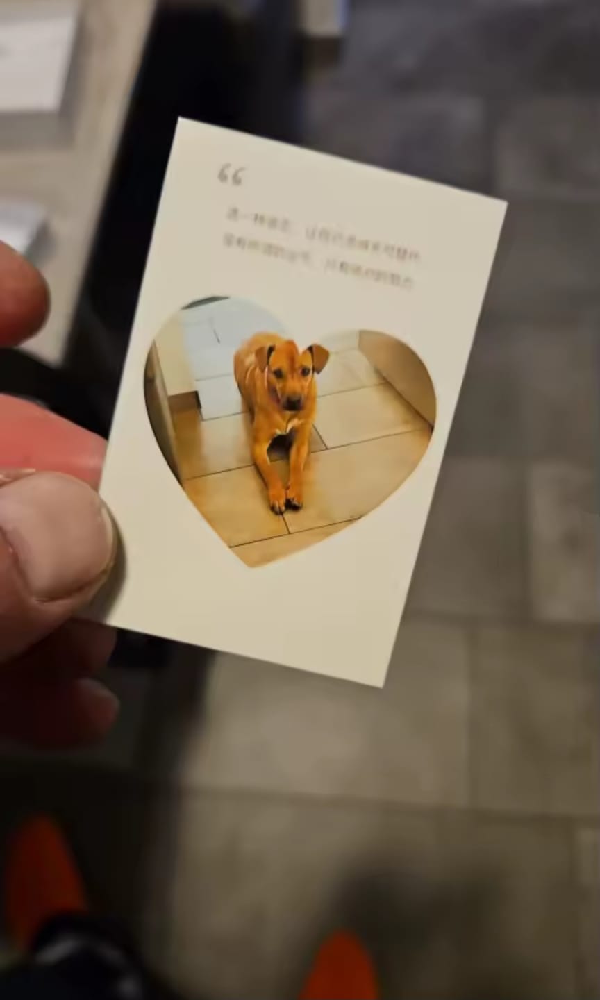 Customer photo review of Tragbarer Farbfotodrucker