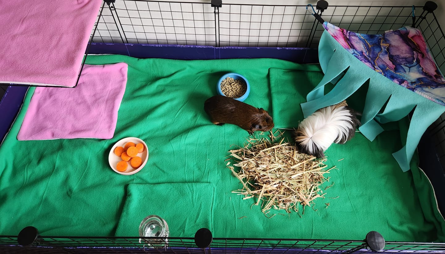 Customer photo review of Ozzy Pets Storage Box for Ozzy Cages