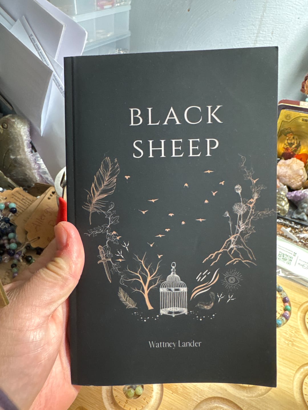 Customer photo review of Bruised Books (Damaged books)