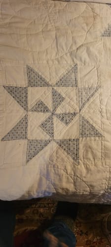 Customer photo review of 3 Sisters Meadow Greens Simple Bundle (21) Fat Quarter Bundle