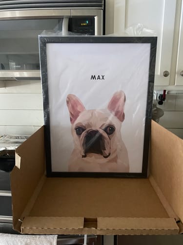 Customer photo review of Modern Pet Portrait - One Pet