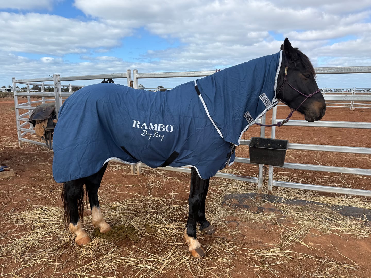 Customer photo review of Rambo Supreme Dry Rug