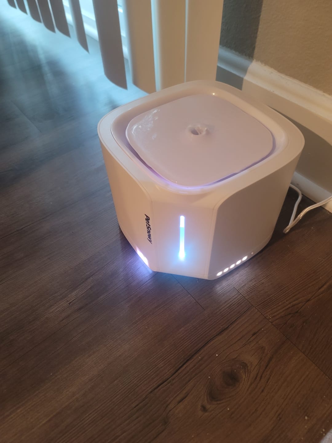 Customer photo review of Pet Water Fountain