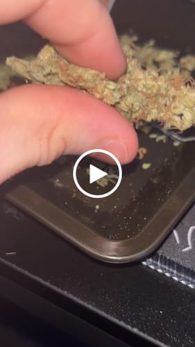 Customer video review of Bandaid Haze IX 3.0