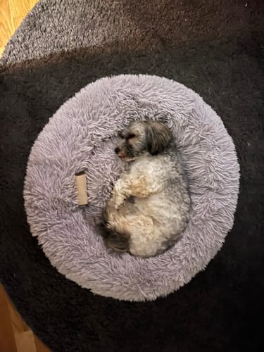 Customer photo review of CalmBed - Motverkar stress & hjälper mot ångest