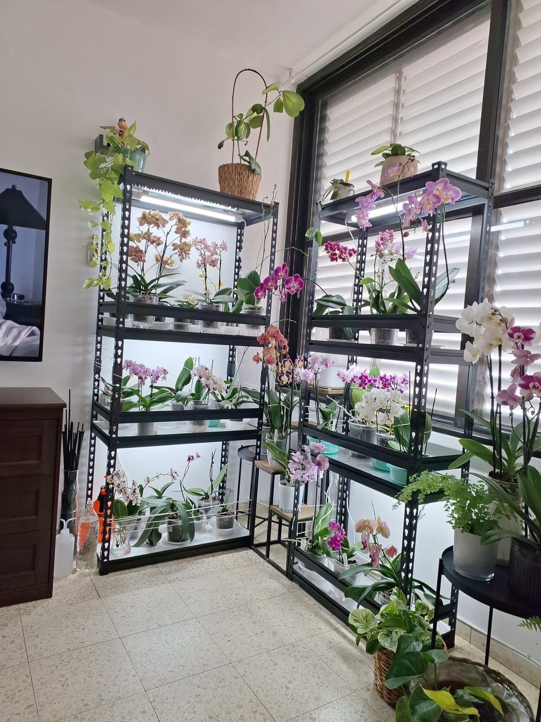 Customer photo review of כוננית מתכת פרמיום 5 מדפים מודולריים גובה 1.8 מטר