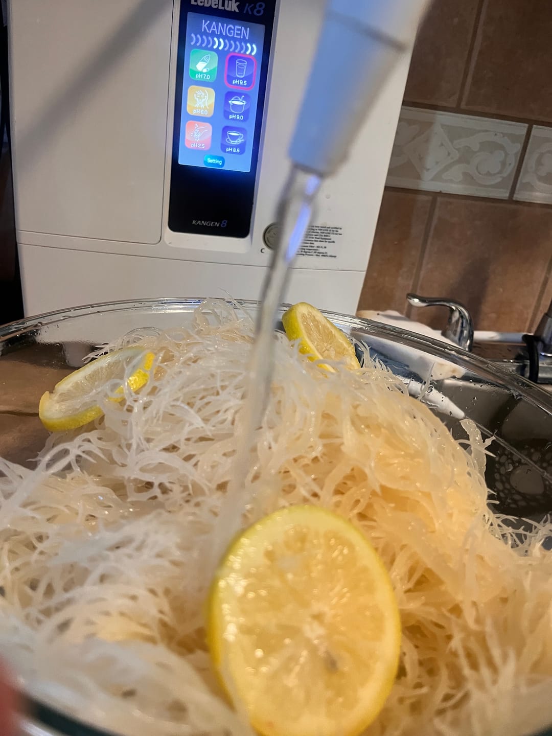 Customer photo review of Wildcrafted Sea Moss from the pristine waters of St. Lucia