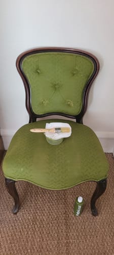 Customer photo review of Fabric Paint -- Olive