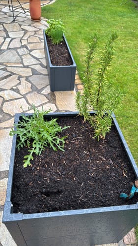 Customer photo review of Hochbeet HB4 | Pulverbeschichtet in RAL7016 | 50x50x50 cm