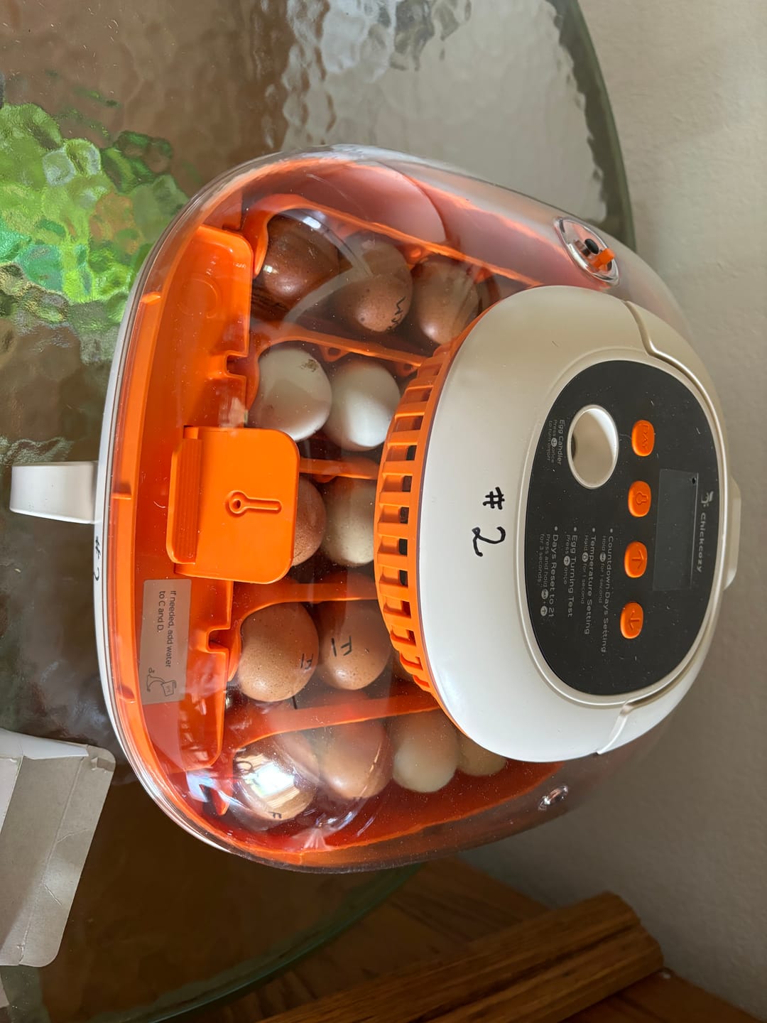Customer photo review of Egg Incubator -25 Egg Capacity