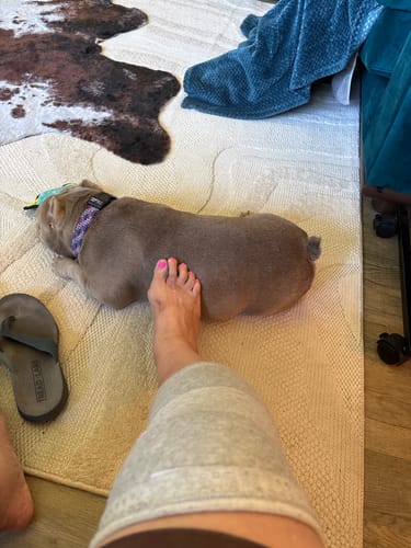 Customer photo review of Premium Bamboo Knee Sleeve (Single)