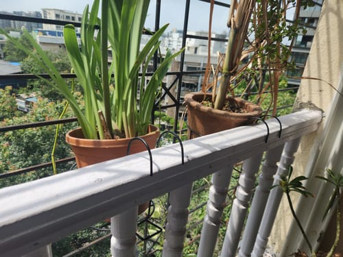 Customer photo review of UnitedCrafts Heart Railings Stands for Balcony & Home Decoration