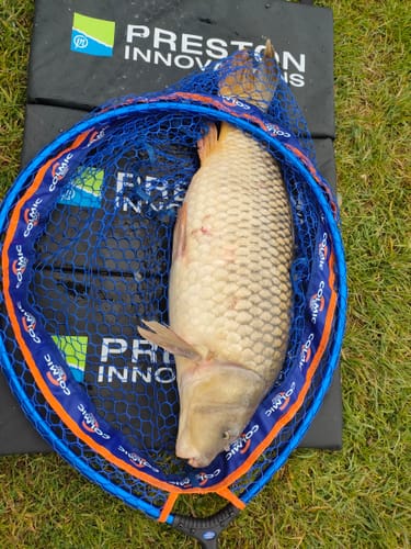 Customer photo review of SINKERS MIXED COLOURS