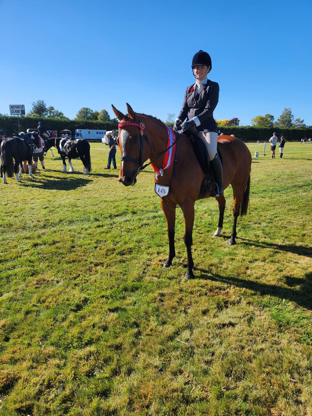 Customer photo review of Digestive EQ - Equine Gut Supplement