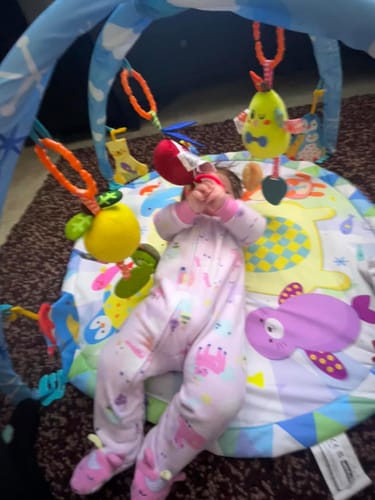 Customer photo review of Hanging Plush Soft Rattle Toys for Newborn 4 Pack