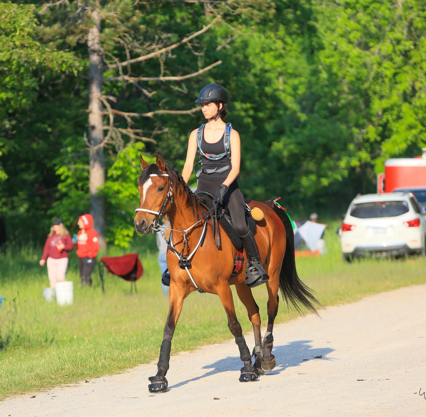 Customer photo review of Renegade® Viper Shield™ Hoof Boots - Black Knight