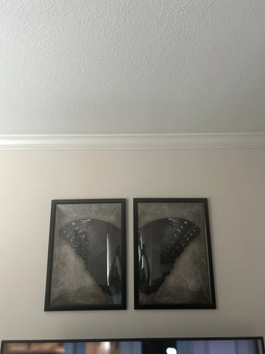 Customer photo review of BLACK WINGS