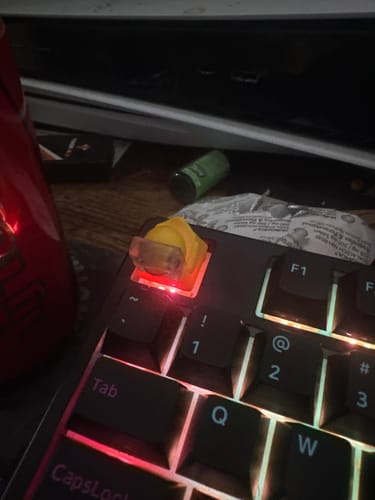 Customer photo review of Mystery Keycap - Winter Escape