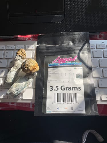 Customer photo review of Non Detect Mushrooms
