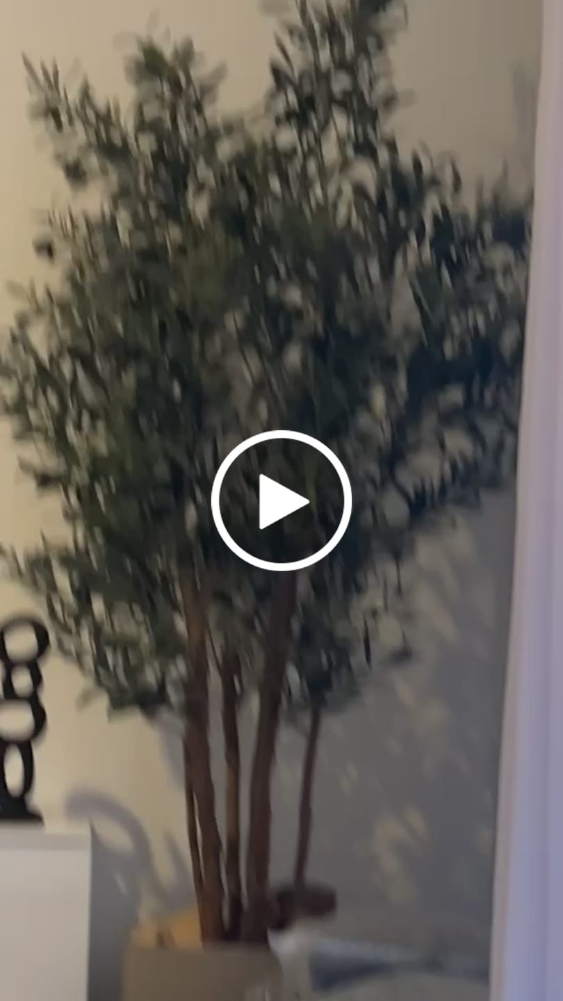 Customer video review of Vorbestellung Künstlicher Olivenbaum 180cm (ende mai)