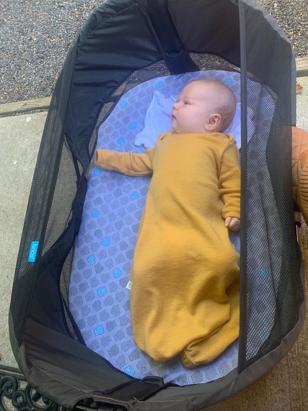 Customer photo review of Baby Gown, Merino Wool, 0-6 Months, Honey