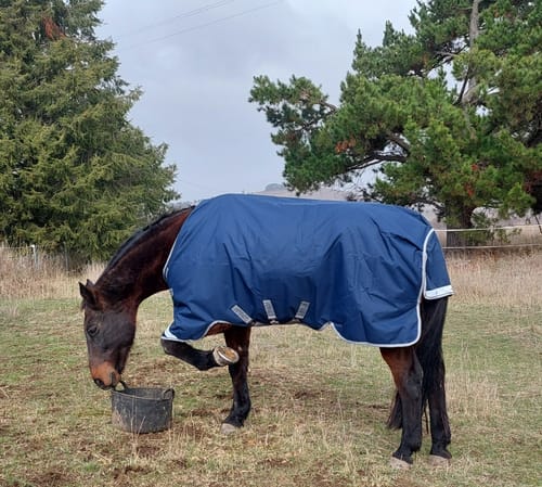 Customer photo review of Amigo 1200D Plus Turnout 100g