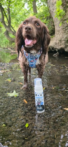 Customer photo review of Blueberry Spa™ No Rinse Facial Wash + Shampoo with Blueberry & Colloidal Oatmeal for Dogs