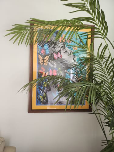 Customer photo review of BUTTERFLY GIRL