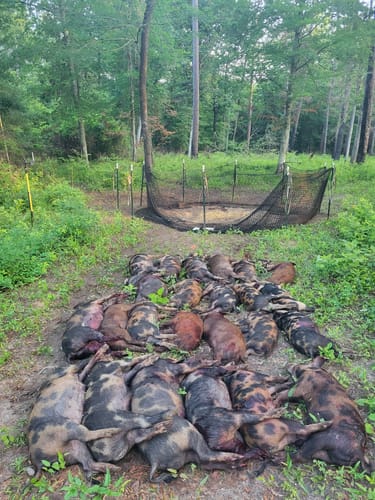 Customer photo review of 12 Berkshire Ground Anchors