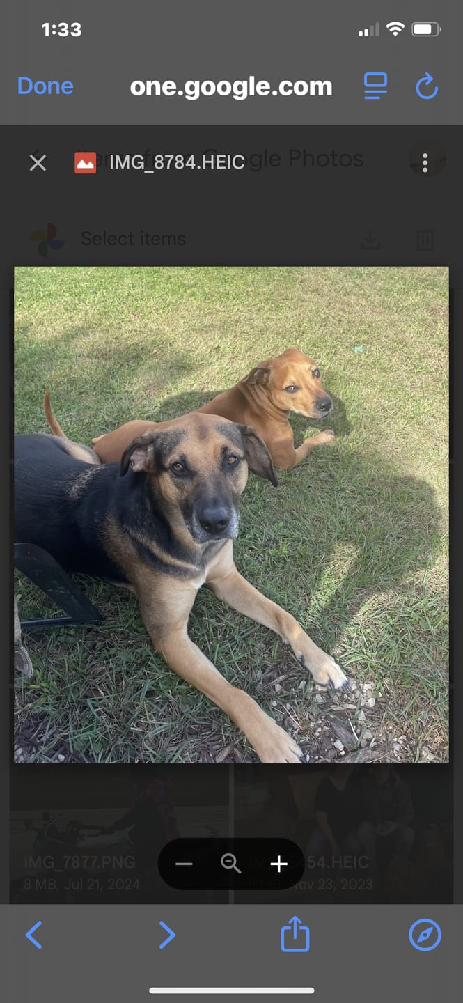 Customer photo review of 6 Inch Power Bully Sticks