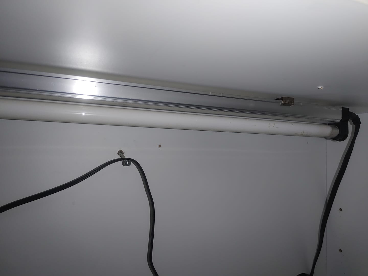 Customer photo review of Sunblaster Replacement Lamp