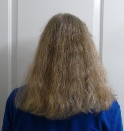 Customer photo review of Steamline Pro