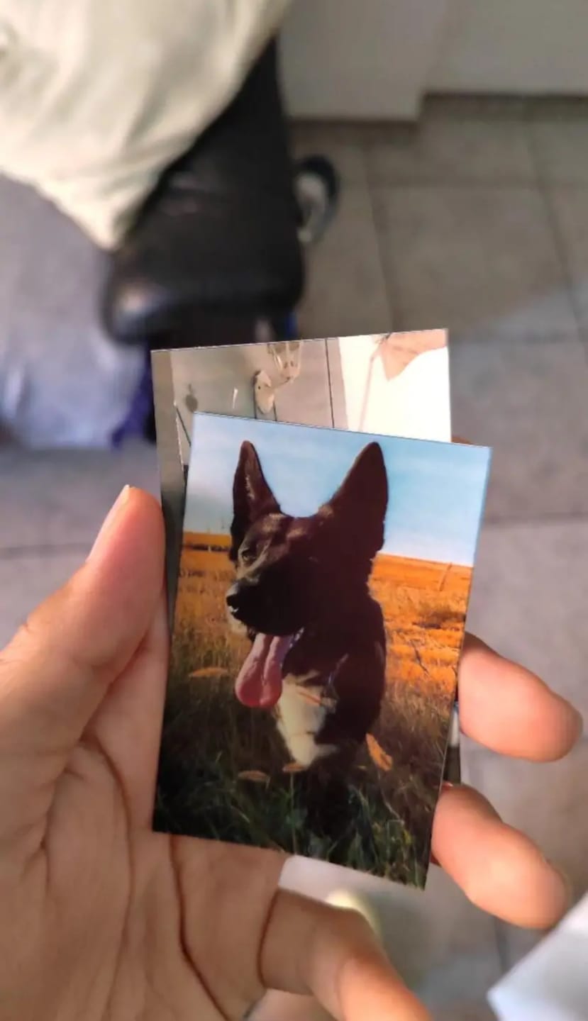 Customer photo review of Tragbarer Farbfotodrucker