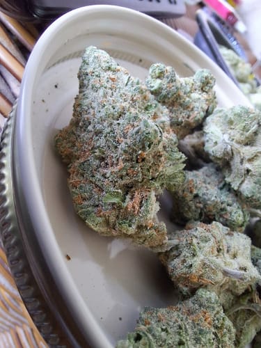 Customer photo review of Blue Skunk