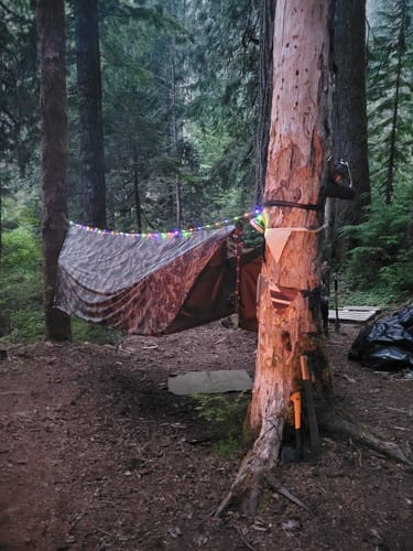 Customer photo review of Haven XL Pad