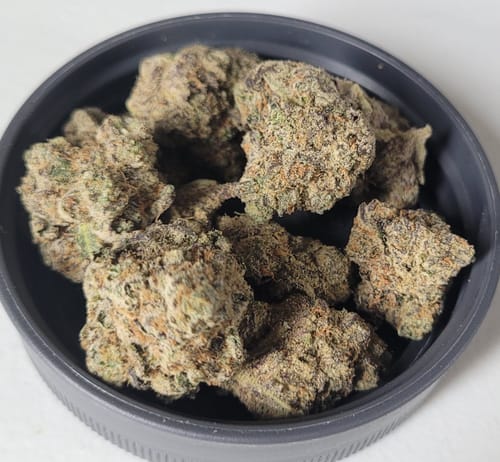 Customer photo review of G-Force