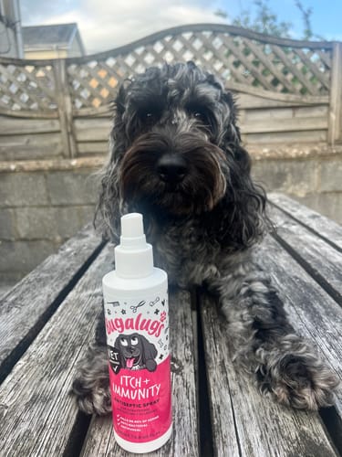 Customer photo review of Itch & Immunity Antiseptic Spray