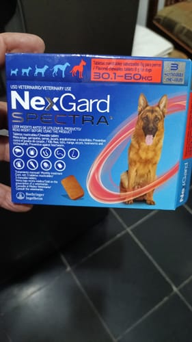 Customer photo review of Nexgard Spectra® 3 masticables