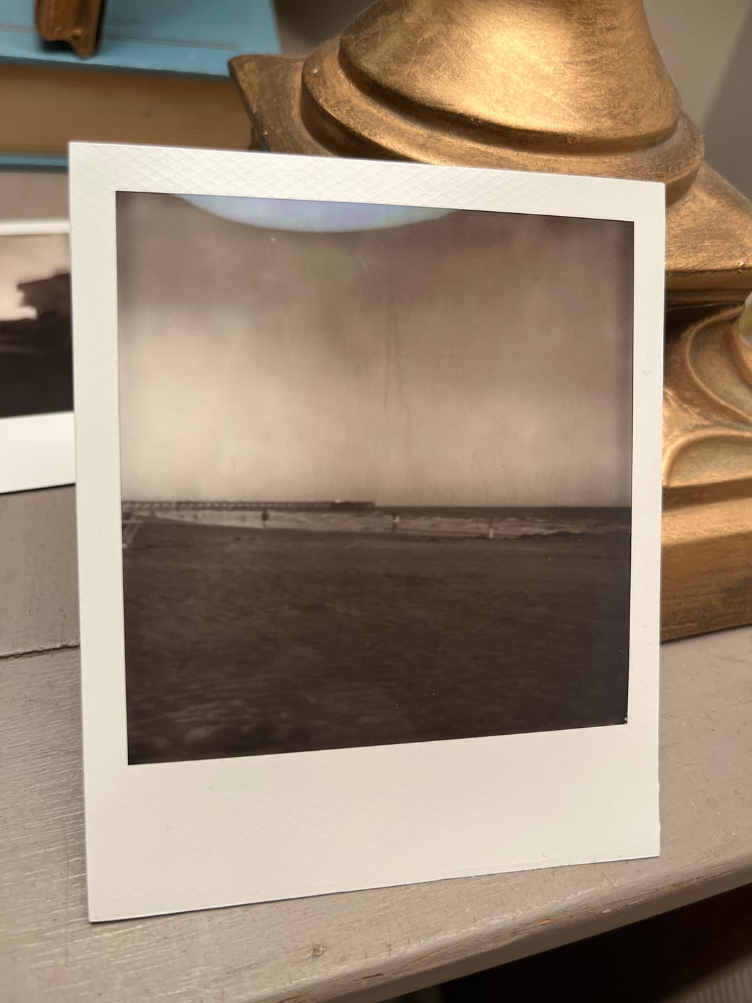 Customer photo review of Polaroid B&W SX-70 Instant Film