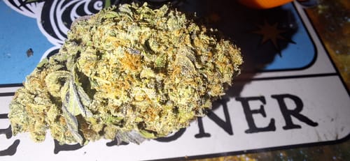 Customer photo review of Carbon Fiber THCA Flower