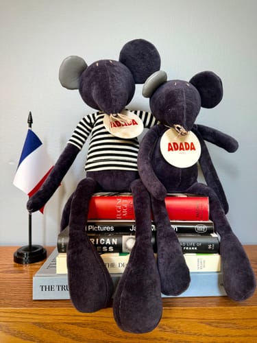 Customer photo review of PACK HECTOR PETIT & GRAND