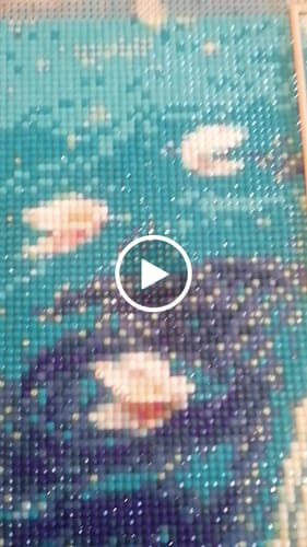Customer video review of 5D Diamond Painting – Blütenboot auf stillem See