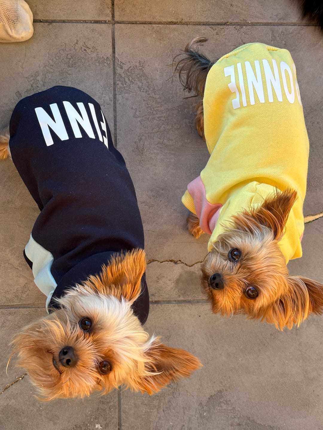 Customer photo review of Hoodie - Build a Hoodie