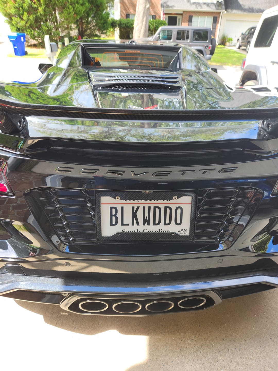 Customer photo review of Corvette C8 Z06 License Plate Backing