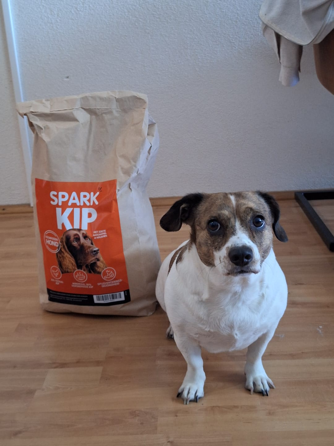 Customer photo review of Volwassen - Kip met Zoete Aardappel & Kruiden