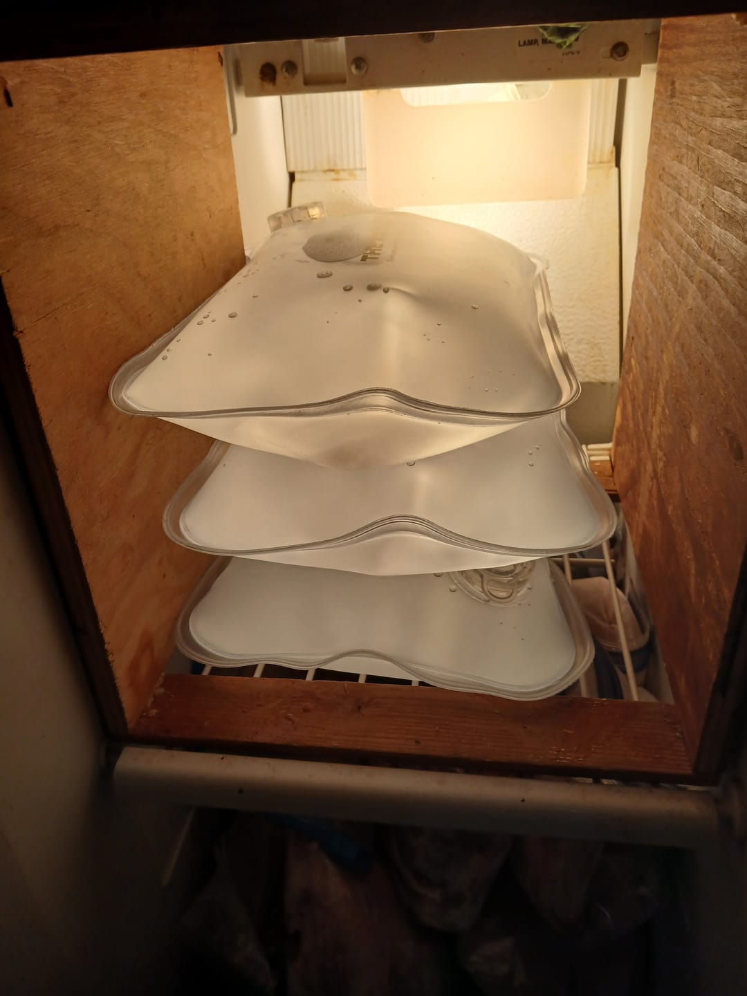 Customer photo review of The Ice Brick